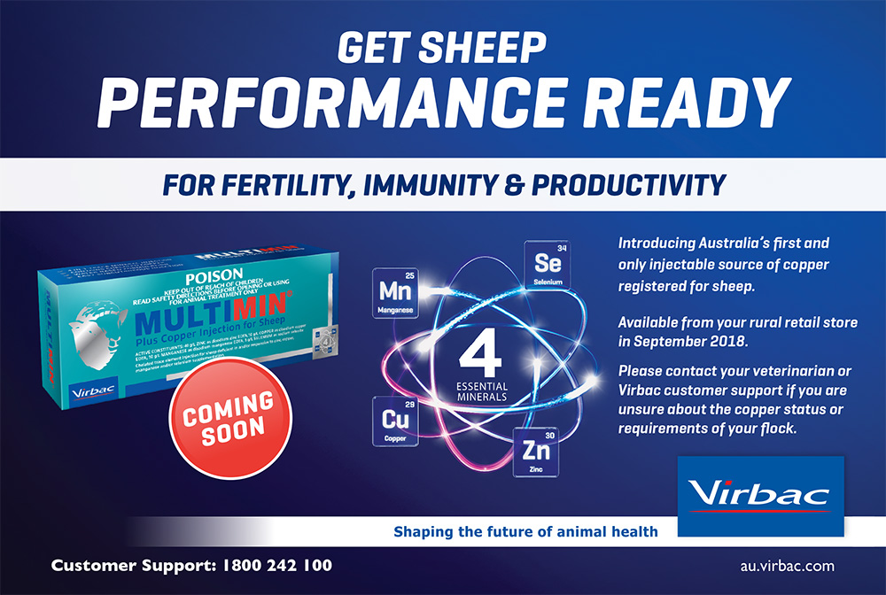 Virbac Multimin Sheep